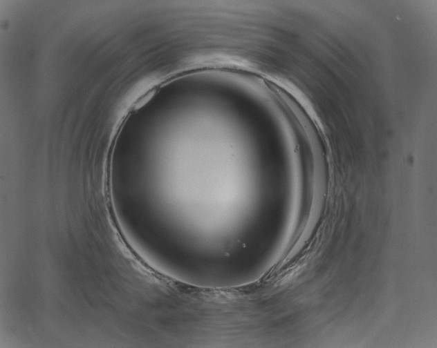 X0000067390815200603311257