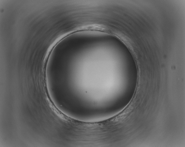 X0000067390816200603311257