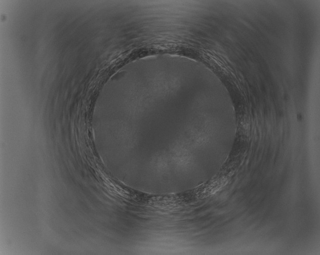 X0000067390817200603311256