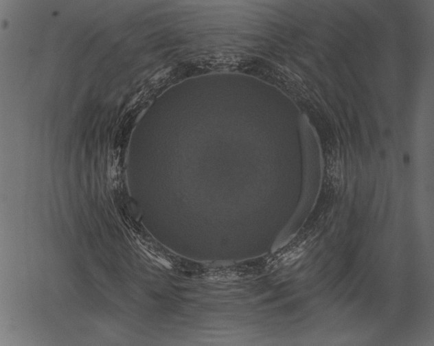 X0000067390818200603311256