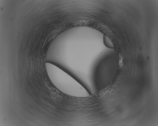 X0000067390819200603311256