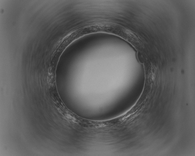 X0000067390822200603311256