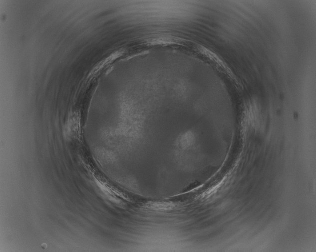 X0000067390825200603311256