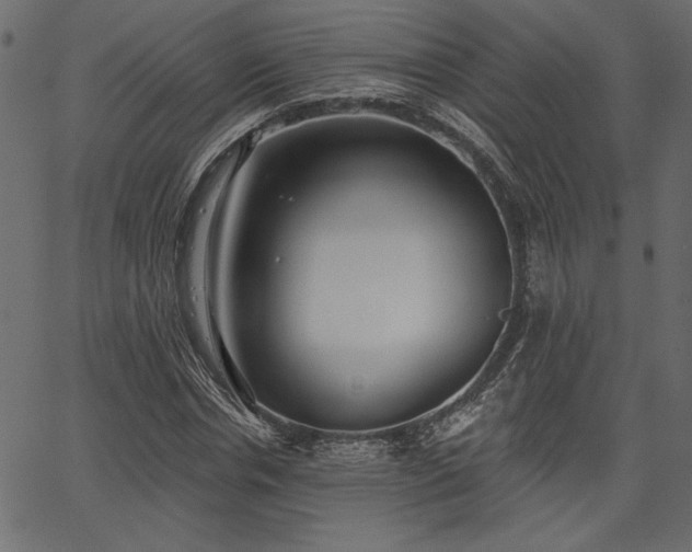 X0000067390826200603311256