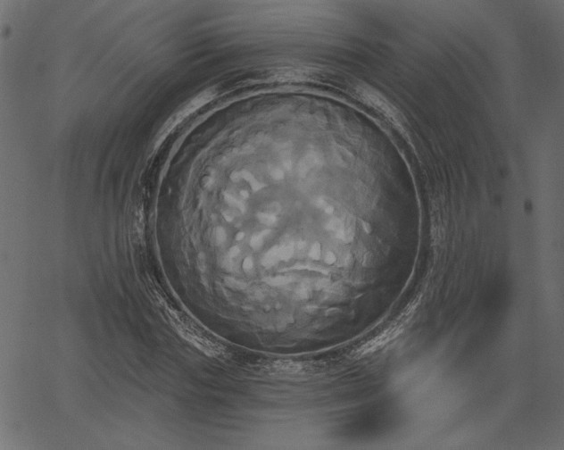 X0000067390827200603311256