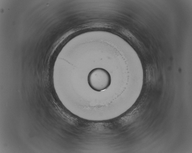 X0000067390828200603311257