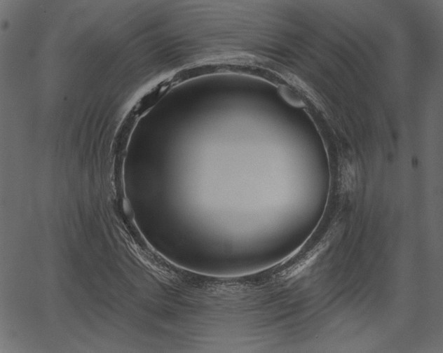 X0000067390830200603311257