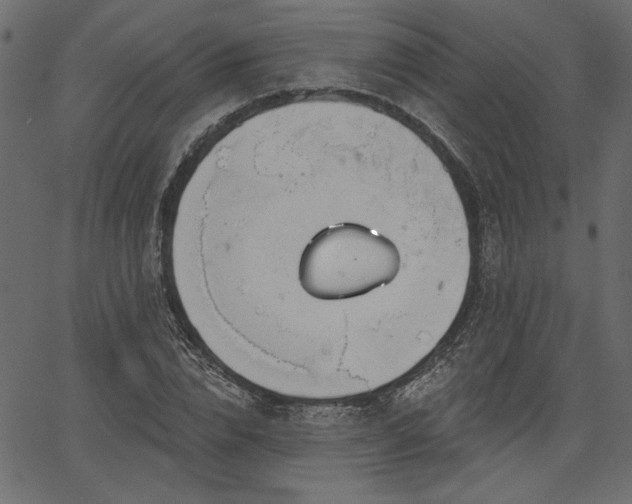 X0000067390832200603311257