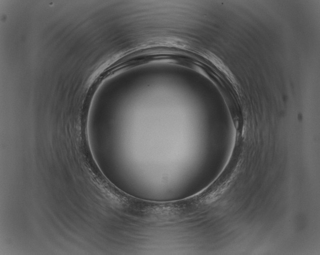 X0000067390834200603311257