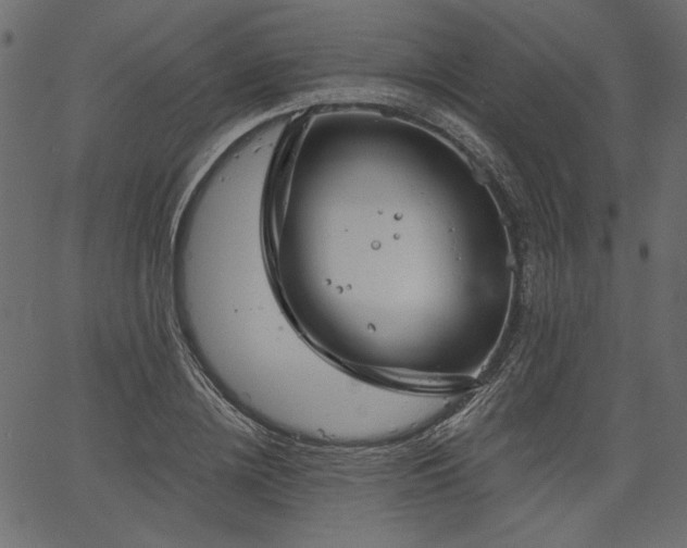 X0000067390836200603311257