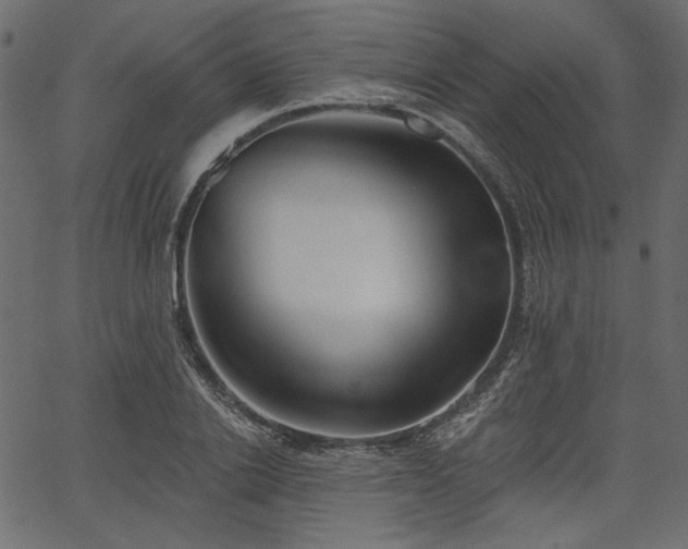 X0000067390838200603311257