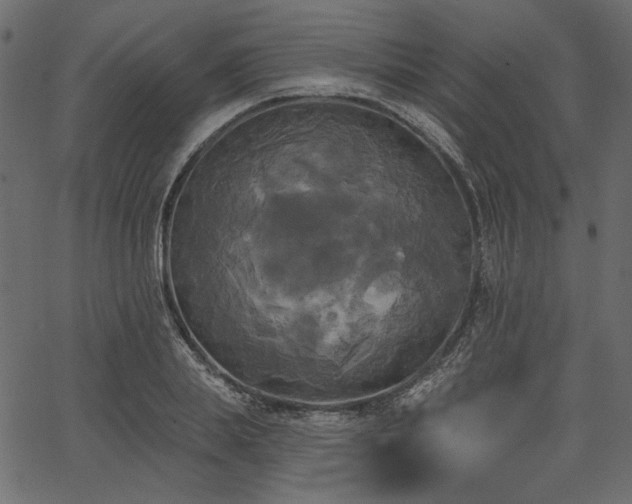 X0000067390839200603311257