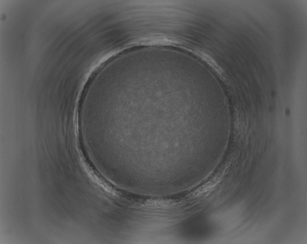 X0000067390840200603311257