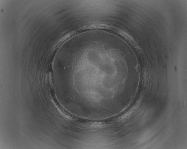 X0000067390841200603311257