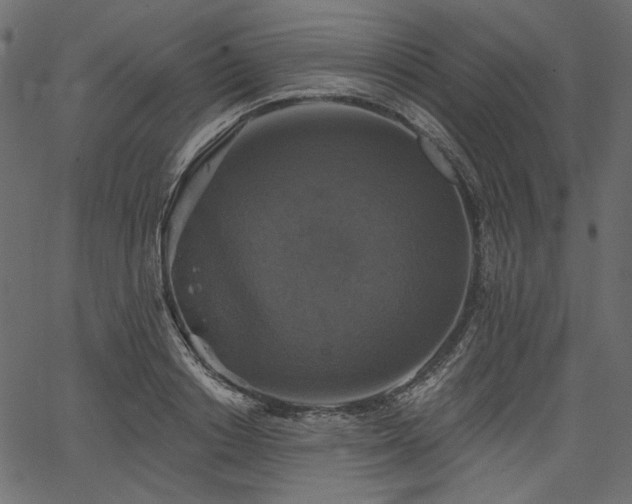 X0000067390842200603311257