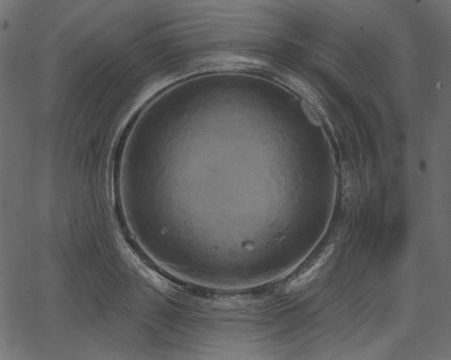 X0000067390843200603311257