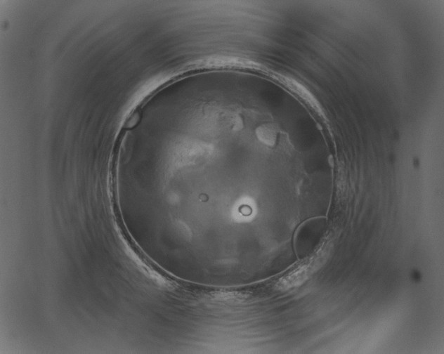 X0000067390847200603311257