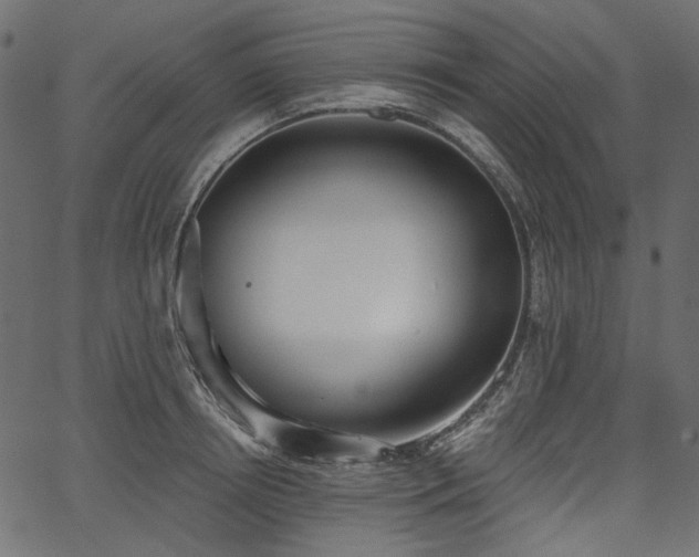 X0000067390850200603311257