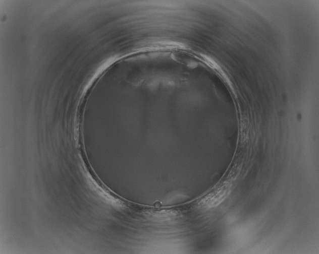 X0000067390851200603311257