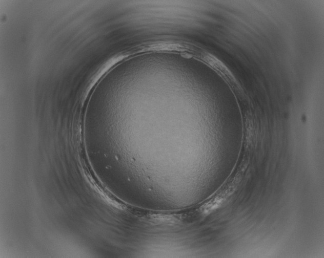 X0000067390852200603311257