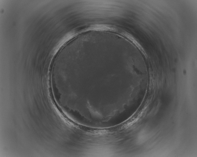 X0000067390853200603311257