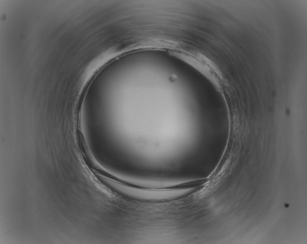 X0000067390854200603311257