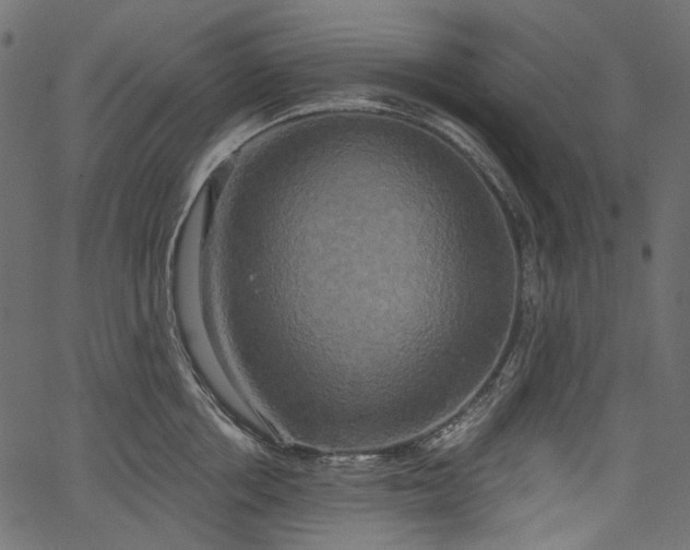 X0000067390858200603311257