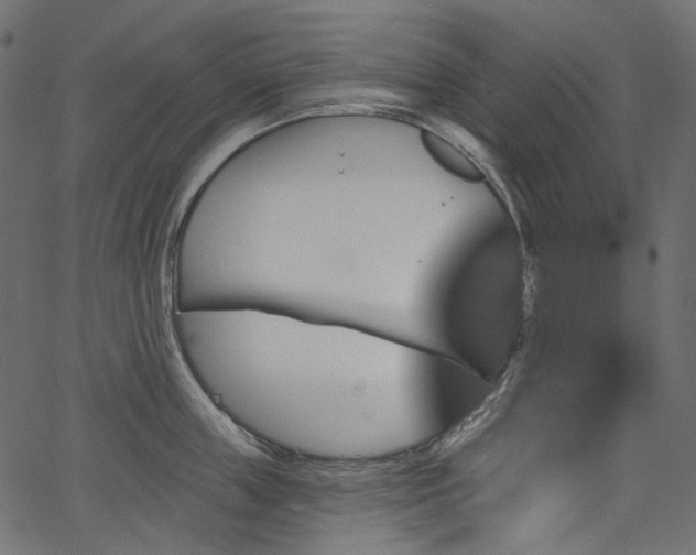 X0000067390859200603311257