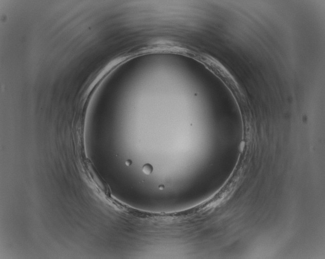 X0000067390860200603311257