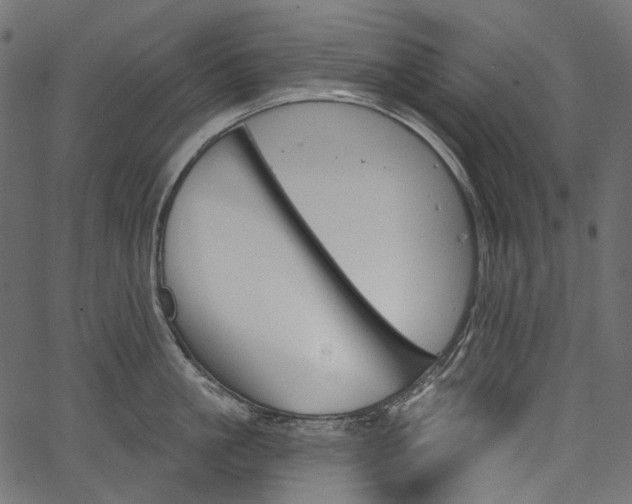 X0000067390861200603311257