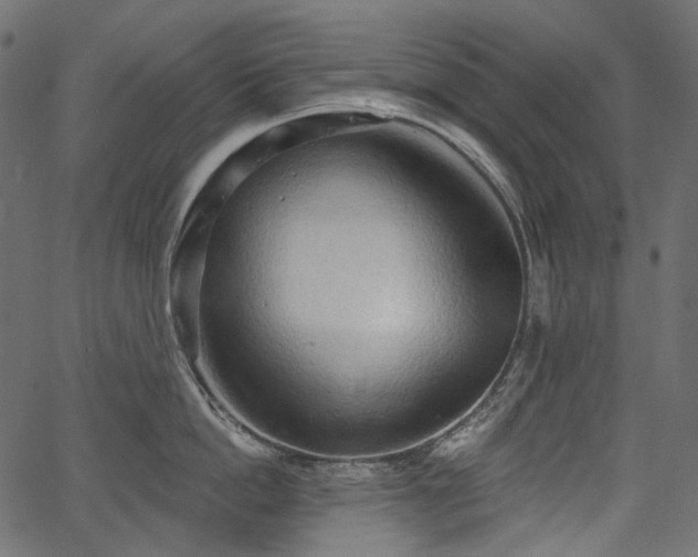 X0000067390862200603311257