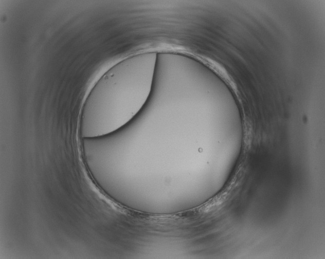 X0000067390863200603311257