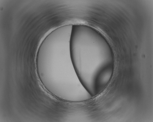 X0000067390864200603311257