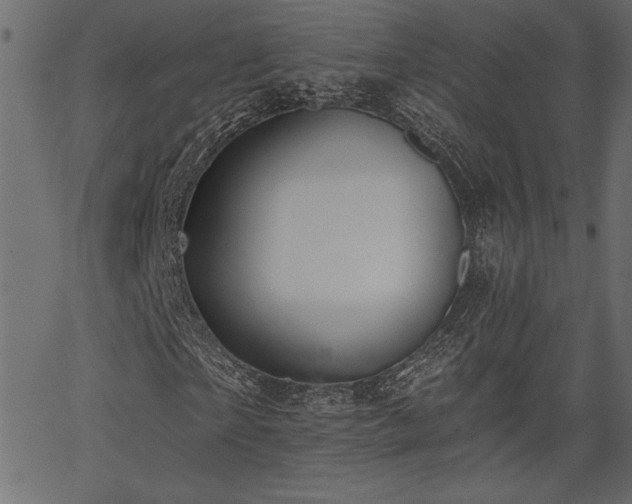 X0000067390865200603311256