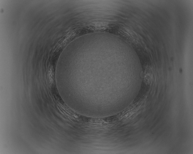 X0000067390866200603311256