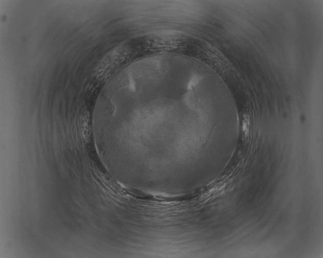 X0000067390867200603311256