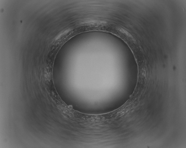 X0000067390869200603311256