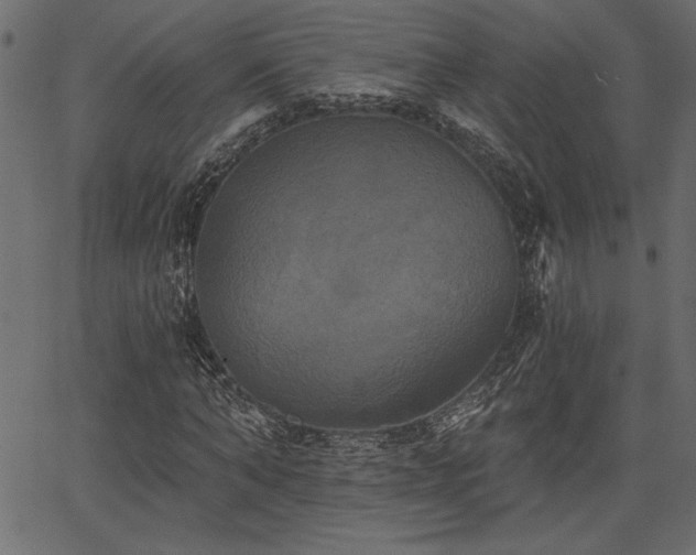 X0000067390870200603311256