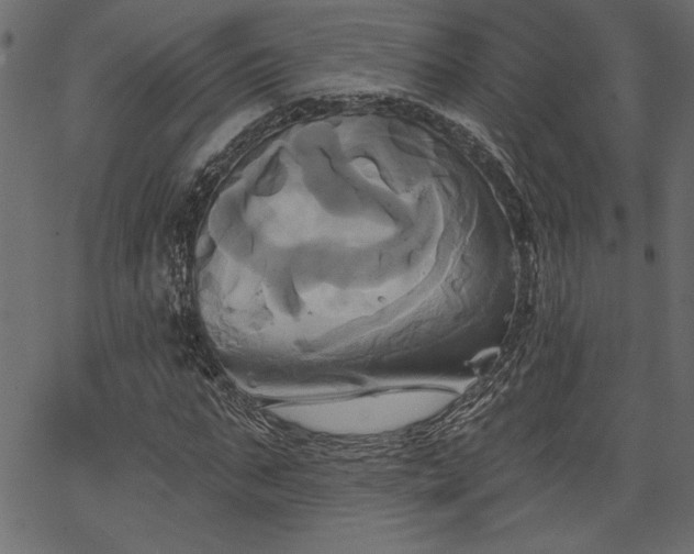 X0000067390871200603311256