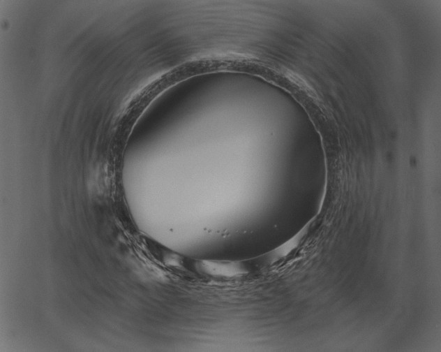 X0000067390872200603311256