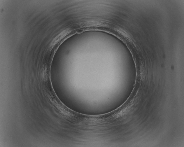 X0000067390873200603311256