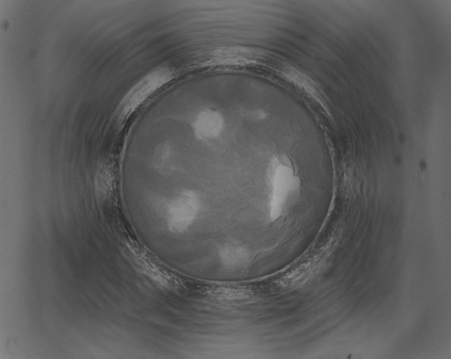 X0000067390874200603311256