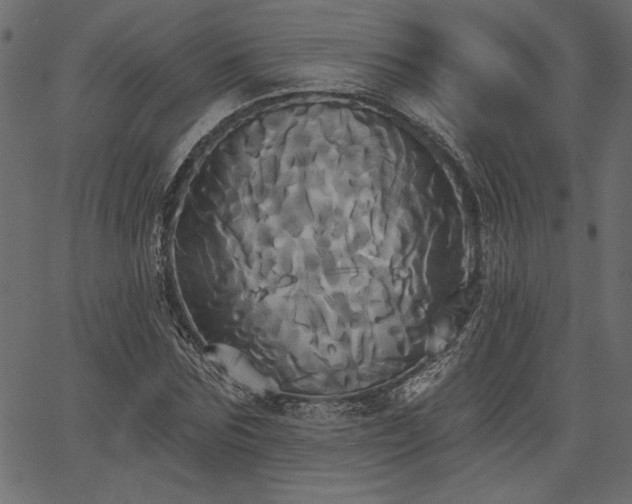 X0000067390875200603311256