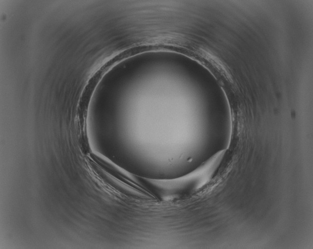 X0000067390876200603311256