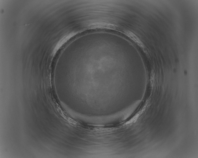 X0000067390877200603311256