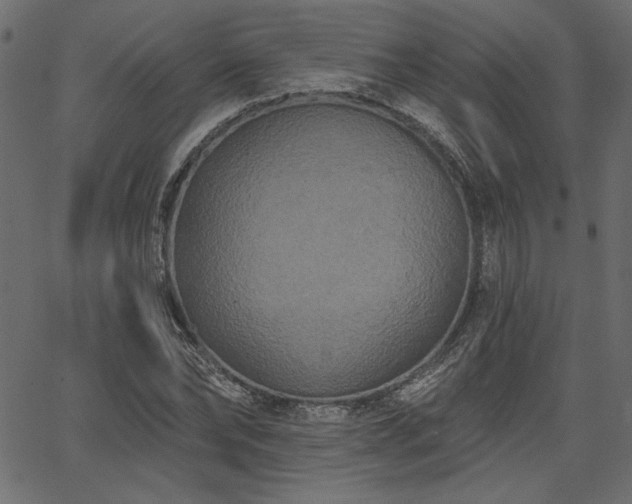 X0000067390878200603311256