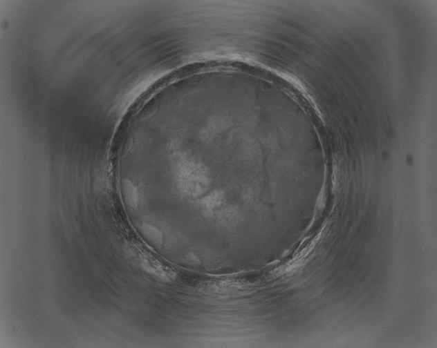 X0000067390879200603311256