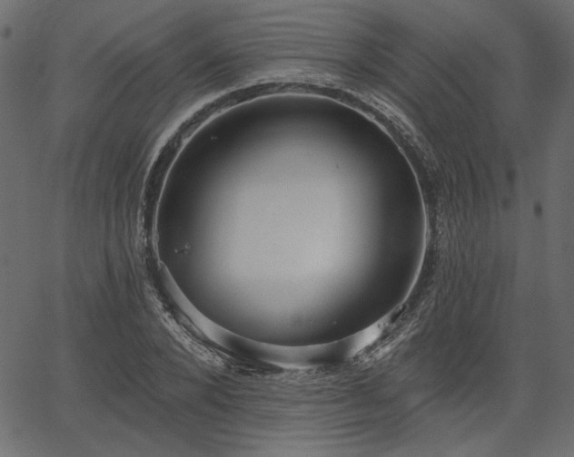 X0000067390880200603311256