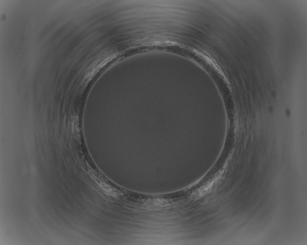 X0000067390881200603311256