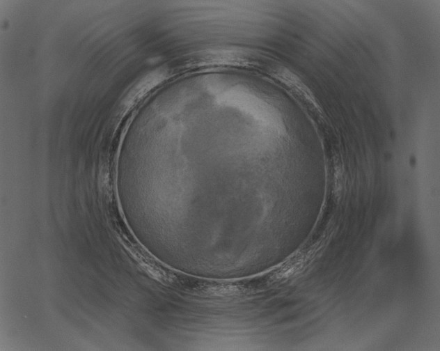 X0000067390882200603311256